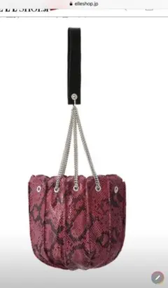 【未使用保管品】LUDLOW ラドロー　ヘビ柄巾着バッグのサムネイル