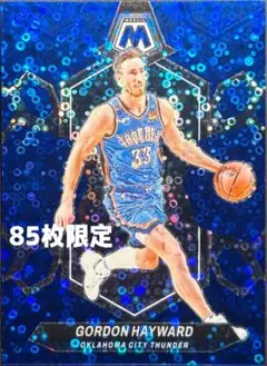【269】Thunder Gordon Hayward 85枚限定