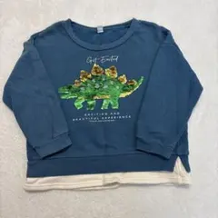 恐竜刺繍トレーナー 100cm 裏起毛