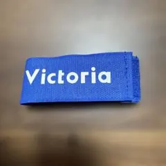 Item thumbnail for item 45304c35-d587-49cc-b036-d4a09c802a10