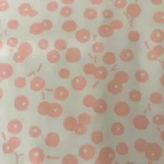 Item thumbnail for item ac8a0749-13ed-408e-b4c6-a906cc4fa58e