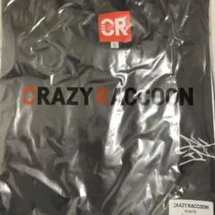 CRAZY RACCOON ALLIN Tシャツ Lサイズ ストグラ