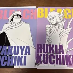 【匿名配送】 BLEACH アートカードコレクション 朽木白哉 朽木ルキア