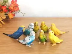 セキセイインコ フィギュア 8羽まとめ売り
