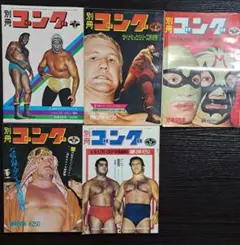 2025年最新】別冊ゴングの人気アイテム - メルカリ