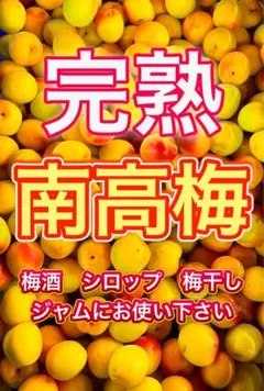 1箱限定‼️和歌山県産 紅南高梅 3Lサイズ 3kg みかんキング - メルカリ