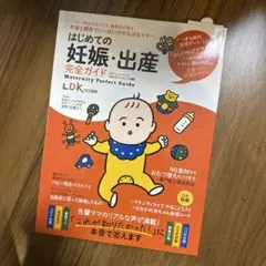 【美品】はじめての妊娠・しゅっさん完全ガイド　LDK特別編集