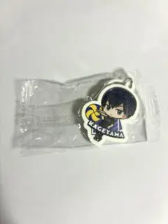 ハイキュー くら寿司 びっくらポン めじるしチャーム 影山飛雄