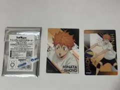 ハイキュー　日向翔陽　トレーディングクリアカードコレクション