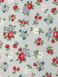 11♬ෆ˚*年末セール・❣️ラスト❣️キャスキッドソン・シーチングラミネート生地