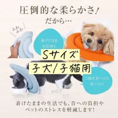 ❤️売り切りSALE❤️エリザベスカラー 猫 犬 ソフト 引掻き防止 S オレンジ