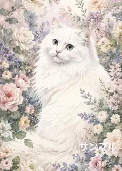 一作限り】花咲く小径を優雅に歩く長毛白猫 A274 - メルカリ
