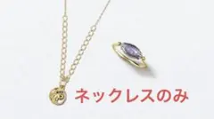 2026年最新】LIMITED EDITION アガットの人気アイテム - メルカリ