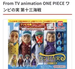 FromTV animation ONE PIECE ★ワンピの実　第十三海賊