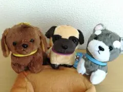 ROUND1限定 わんわんフレンズマスコット ダックス パグ シュナウザー