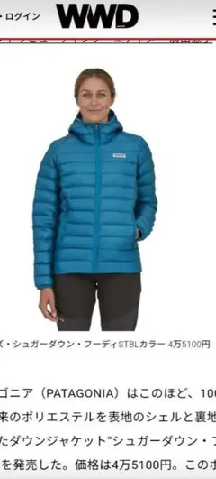 2026年最新】patagonia カラー：ブルー系 レディース ダウンジャケット 