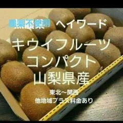 3キウイフルーツ　農薬不使用　わけあり　コンパクト　山梨県産