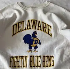 【レア】レアカラー チャンピオン リバースウィーブ 90's USA製