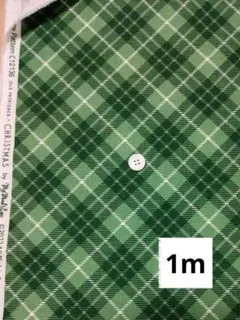 USAコットン　チェック柄　グリーン　Riley Blake　1m