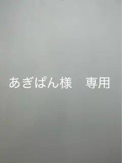 あぎぱん様 専用