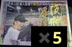 デイリースポーツ　2025阪神優勝号外