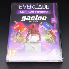 ガエルコ アーケード2 Gaelco Arcade 2 Evercade