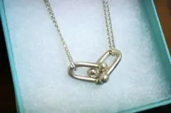 2026年最新】tiffany ハードウェアの人気アイテム - メルカリ