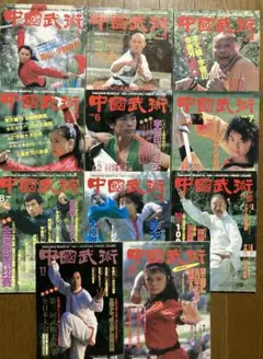 中国武術 雑誌 11冊セット - メルカリ