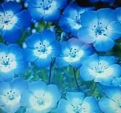 みきちゃん様 リクエスト 3点 まとめ商品