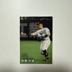 牧原 大成 ソフトバンクホークス 2025プロ野球チップスカード