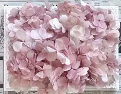 はむはむ様 リクエスト 3点 まとめ商品