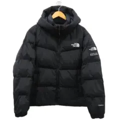tnf ダウンジャケット