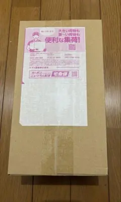 4月出荷分 スペシャルBOX ポケモンセンター トウホク 未開封