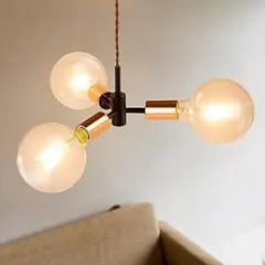 IKEA イケア AGUNNARYD アグナリッド ペンダントランプ ランプ付き