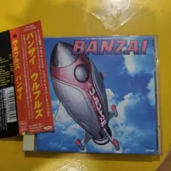 ウルフルズ