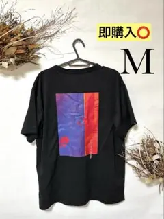 AKTR DRYTECH NEO-POP PHOTO バスケットTシャツ M