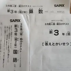 2026年最新】サピックス 組み分けテストの人気アイテム - メルカリ