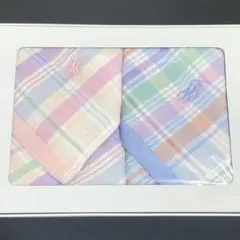 【新品未使用】RALPH LAUREN コテージチェックガーゼ ミニタオル 2枚のサムネイル