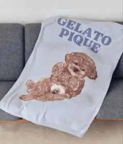 gelatopique♡ジェラピケ♡トイプードル♡ブランケット♡新品♡未使用