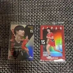 Item thumbnail for item 362c868f-f3b4-4524-b8cb-924e831abb8c