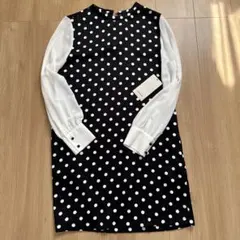 ZARAトッド柄長袖ワンピース新品未使用タグ付きXSサイズ値下げ美品