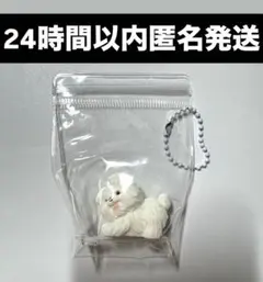 【24時間以内匿名発送】ミニスクイーズ 犬