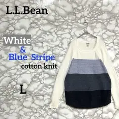 一点物 レアカラー　L.L.Bean コットンニット　グラデーション ストライプ