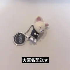 StrayKids SKZOO つまんでつなげてますこっと フォクシニーチェーン