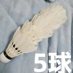 Item thumbnail for item ea44be65-8287-47ab-8e29-8b64c05f6793