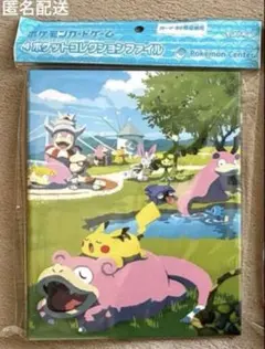 ポケモンカードゲーム 4ポケット コレクションファイル ポケモンセンターカガワ