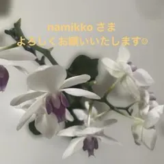 MOOMIN/サラダボウル/ムーミン