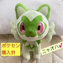⭐︎ポケセン購入⭐︎ニャオハ ぬいぐるみ