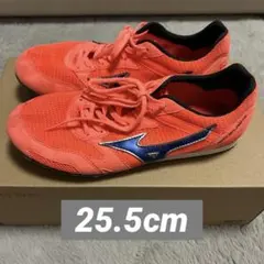 MIZUNO×KOBUCHI 小渕健太郎(コブクロ)ランニングシューズ - メルカリ