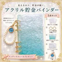 アクリルバインダー リフィル5枚 バインダー貯金ジッパーファイル　推し活 韓国風
